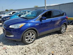 SUV salvage a la venta en subasta: 2015 Ford Escape SE