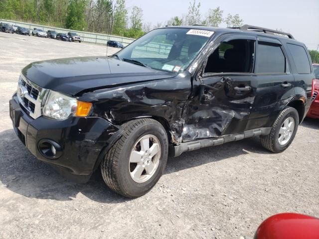 2010 Ford Escape XLT