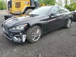 Salvage cars for sale at Marlboro, NY auction: 2023 Infiniti Q50 Luxe