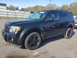 Salvage cars for sale from Copart Assonet, MA: 2011 Ford Escape XLT