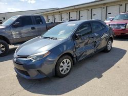 Salvage cars for sale at Louisville, KY auction: 2015 Toyota Corolla ECO