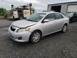 Salvage cars for sale at Chambersburg, PA auction: 2009 Toyota Corolla Base