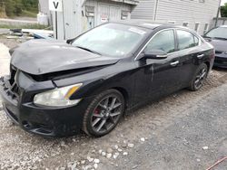 Salvage cars for sale at York Haven, PA auction: 2010 Nissan Maxima S