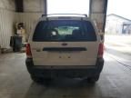 2004 Ford Escape XLT