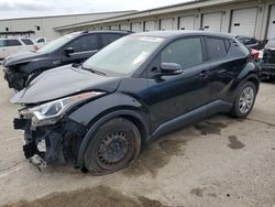 Salvage cars for sale at Louisville, KY auction: 2019 Toyota C-HR XLE