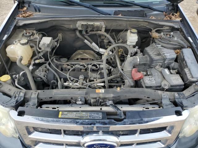 2008 Ford Escape XLT