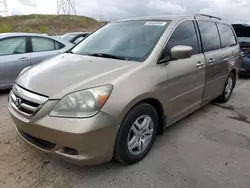 Salvage cars for sale at Littleton, CO auction: 2005 Honda Odyssey EXL