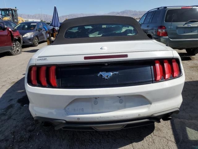 2019 Ford Mustang