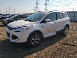 Salvage cars for sale from Copart Elgin, IL: 2016 Ford Escape SE