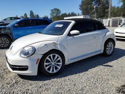 Salvage cars for sale at Graham, WA auction: 2013 Volkswagen Beetle