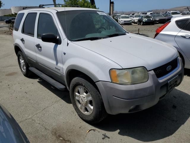 2002 Ford Escape XLT