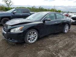 Salvage cars for sale at Des Moines, IA auction: 2010 Nissan Maxima S