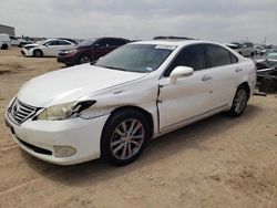 Salvage cars for sale from Copart Amarillo, TX: 2012 Lexus ES 350