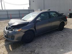 Salvage cars for sale at Jacksonville, FL auction: 2011 Toyota Corolla Base