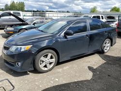 Salvage cars for sale from Copart Arlington, WA: 2014 Toyota Camry L