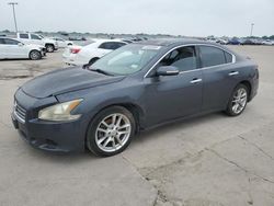 Salvage cars for sale from Copart Wilmer, TX: 2009 Nissan Maxima S