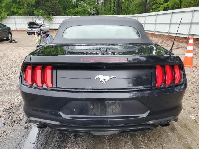 2019 Ford Mustang