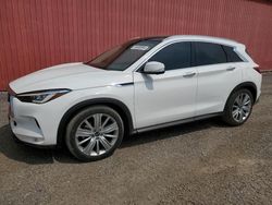 Salvage cars for sale from Copart London, ON: 2020 Infiniti QX50 Pure