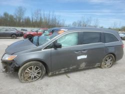 Honda salvage cars for sale: 2012 Honda Odyssey EXL