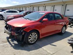 Salvage cars for sale at Louisville, KY auction: 2010 Toyota Corolla Base