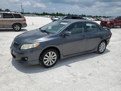 Salvage cars for sale from Copart Arcadia, FL: 2010 Toyota Corolla Base