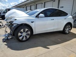 Tesla salvage cars for sale: 2023 Tesla Model Y