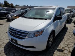 Salvage cars for sale from Copart Martinez, CA: 2012 Honda Odyssey EXL