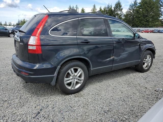 2010 Honda CR-V EXL