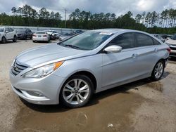 Salvage cars for sale from Copart Harleyville, SC: 2013 Hyundai Sonata SE