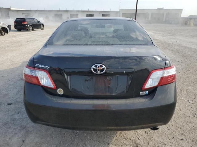 2009 Toyota Camry Hybrid