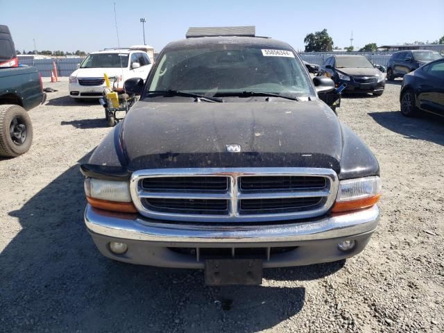 2004 Dodge Dakota Quad SLT