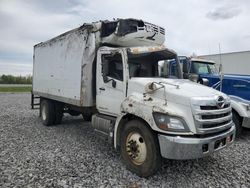 Hino 258/268 Vehiculos salvage en venta: 2018 Hino 258 268