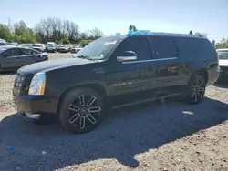 Salvage cars for sale from Copart Portland, OR: 2012 Cadillac Escalade ESV Premium