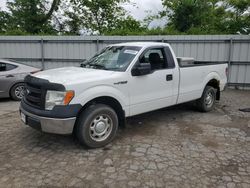 Salvage trucks for sale at West Mifflin, PA auction: 2013 Ford F150