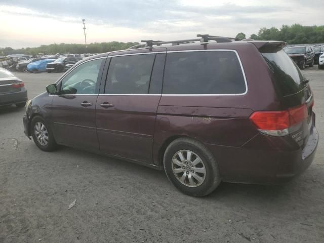 2009 Honda Odyssey EXL