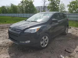 Buy Salvage Cars For Sale now at auction: 2015 Ford Escape SE