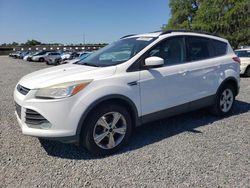 Vehiculos salvage en venta de Copart Riverview, FL: 2013 Ford Escape SE