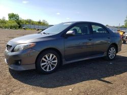 Salvage cars for sale at Columbia Station, OH auction: 2009 Toyota Corolla Base