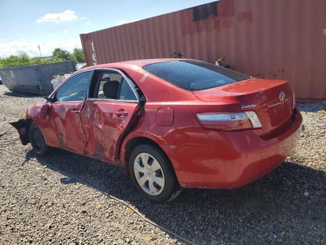 2009 Toyota Camry Hybrid