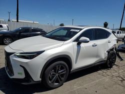 Lexus nx 450h salvage cars for sale: 2022 Lexus NX 450H