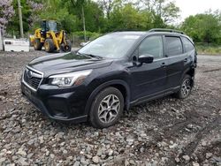 Subaru Forester Premium salvage cars for sale: 2019 Subaru Forester Premium