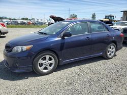 Salvage cars for sale from Copart Eugene, OR: 2012 Toyota Corolla Base