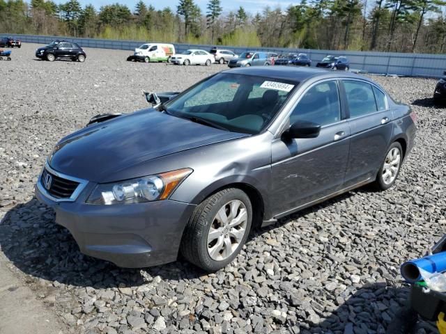 2010 Honda Accord EXL