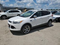 Salvage cars for sale at Harleyville, SC auction: 2016 Ford Escape Titanium