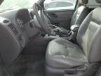 2007 Ford Escape XLT