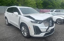 Salvage cars for sale from Copart Hillsborough, NJ: 2023 Cadillac XT6 Premium Luxury