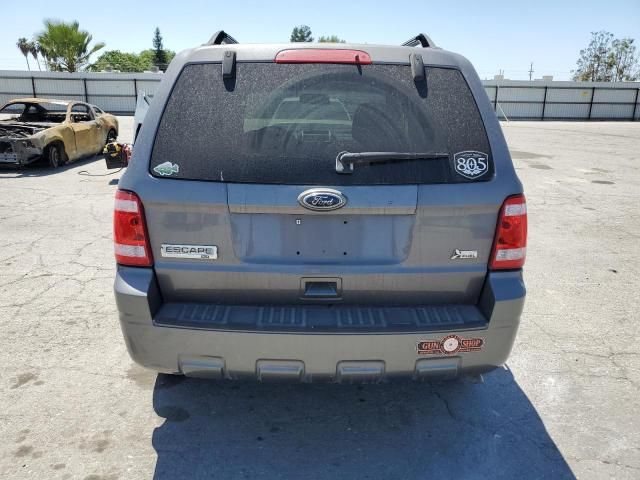 2010 Ford Escape XLT