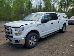 Salvage cars for sale from Copart Bowmanville, ON: 2015 Ford F150 Supercrew