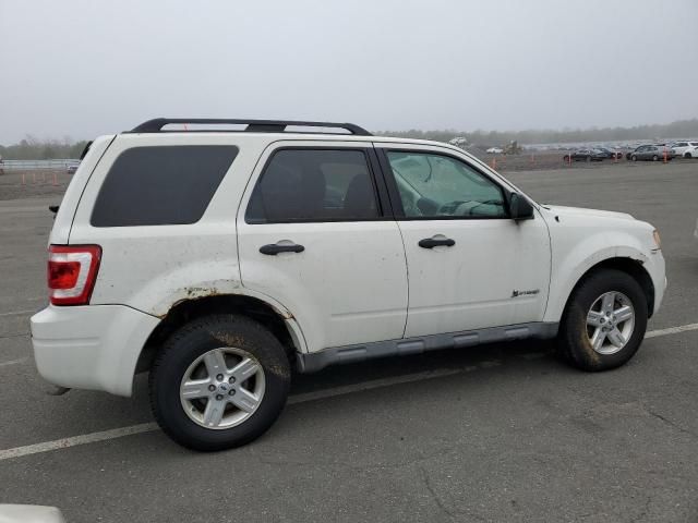 2009 Ford Escape Hybrid