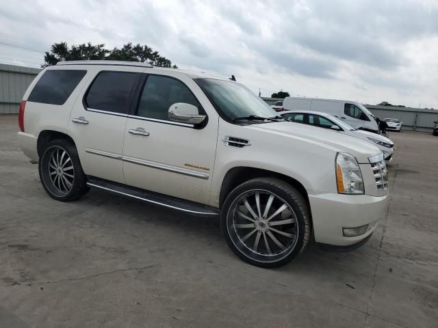 2010 Cadillac Escalade